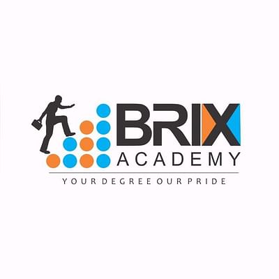 Brix Academy - Publicité en ligne