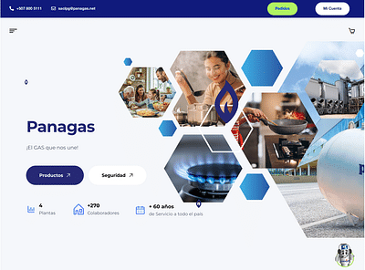 Proyecto Desarrollo y Diseño eCommerce Panagas - Webseitengestaltung