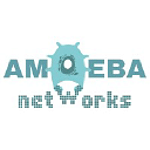 Amoeba Networks