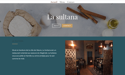 Mise en place d'un site web selon les visuels - Création de site internet