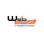 Web Synergies
