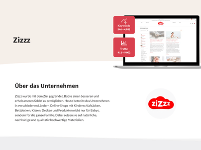 Zizzz – SEO Content Package - Référencement naturel