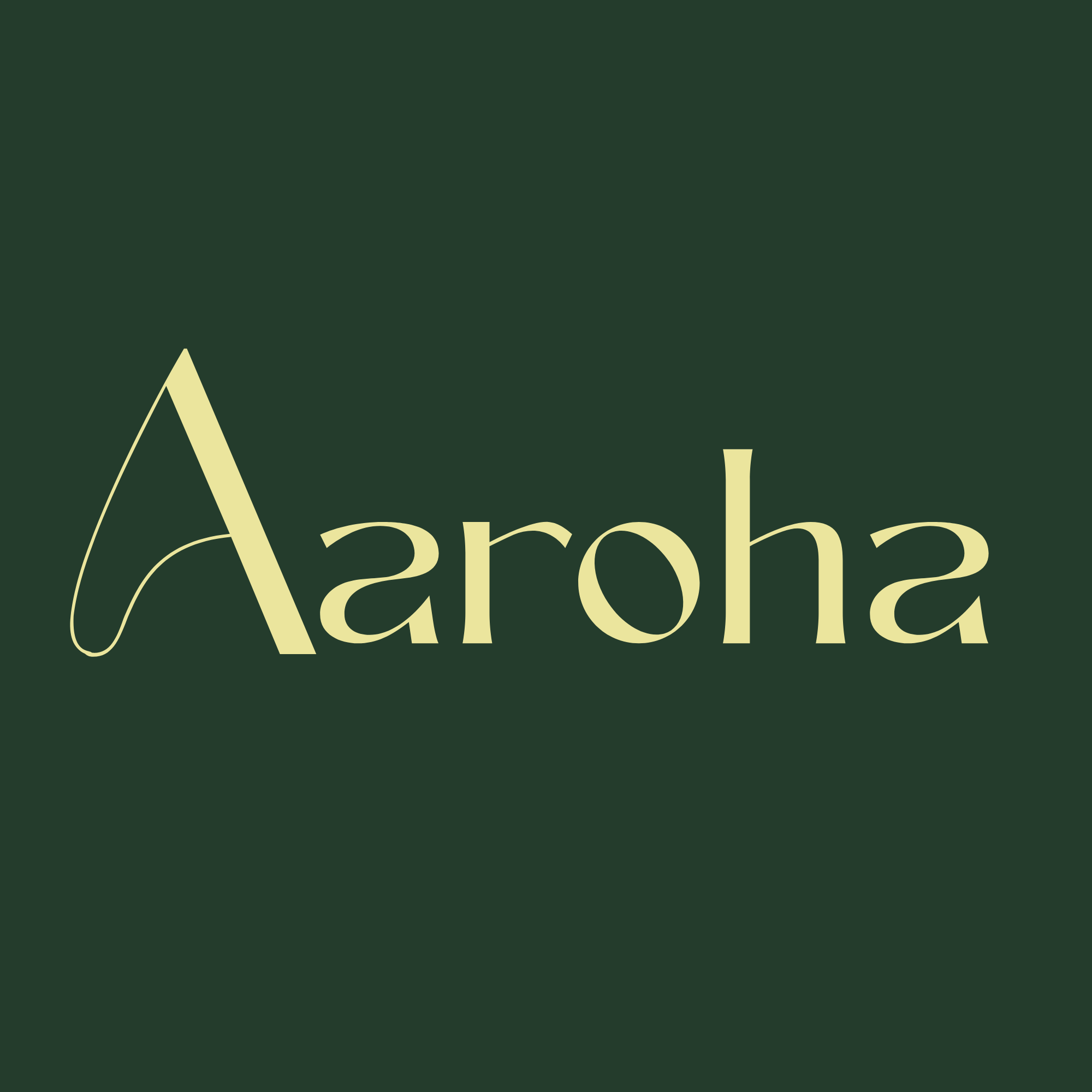 Aaroha Digilabs