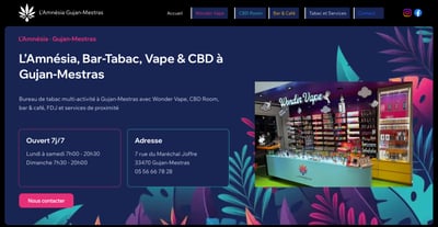 L’Amnésia, SEO local, GEO, AEO & création d’un site optimisé pour l’IA - Marketing