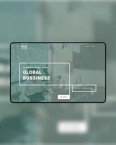 Naxos Group Website Creation - Graphic Design