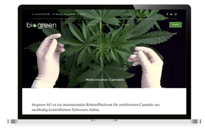Website and SEO Biogreen - SEO