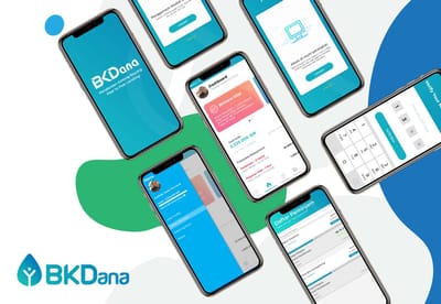 BKDana Fintech - Creación de Sitios Web