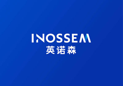 INOSSEM Digital Solutions | Brand Identity - Graphic Design