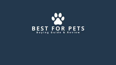 BestForPets - Publicidad