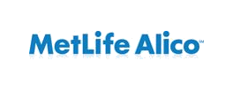 Metlife Rebranding Campaign - Design & graphisme