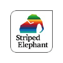 Striped Elephant Nl