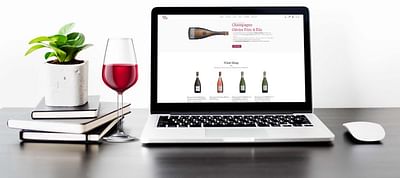 E-commerce vendita vino - E-Commerce