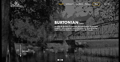 Burtonian - Branding y posicionamiento de marca