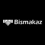 Biz Makaz Business Consultant