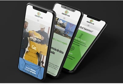 GESFUS — Identidad visual y diseño web - Diseño Gráfico