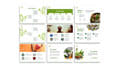 Herbal Nest - Markenbildung & Positionierung