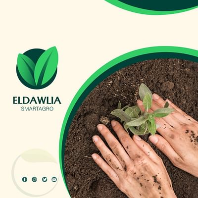 ELDAWLIA SMARTAGRO - Branding - Marketing