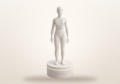 Voice AI figurine on Raspberry Pi - Künstliche Intelligenz
