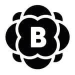 Erklärvideo + Motion Design - BRUSSOBAUM GbR logo