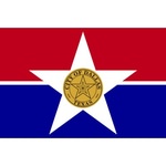 Dallas Business Profile | Google logo
