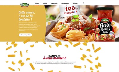 Panzani - Création de site internet