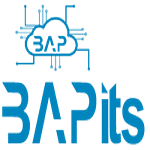 BAPits logo