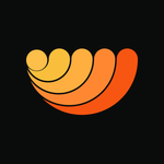 RayZ Consulting logo