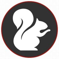 White Squirrel Design Studio