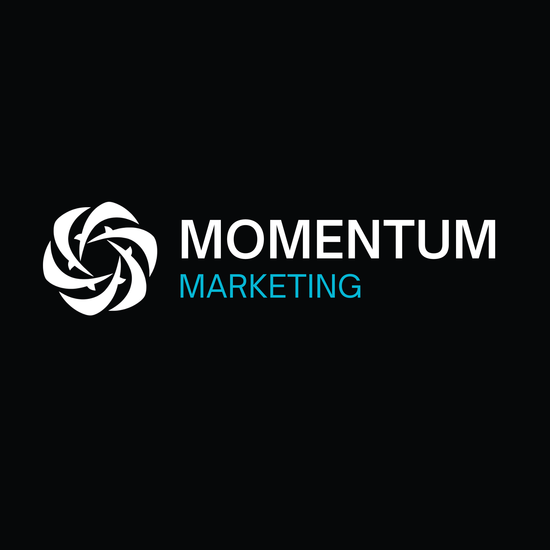 Momentum Marketing