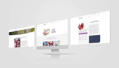 Diseño de web para Ajos Palacios - Diseño Gráfico