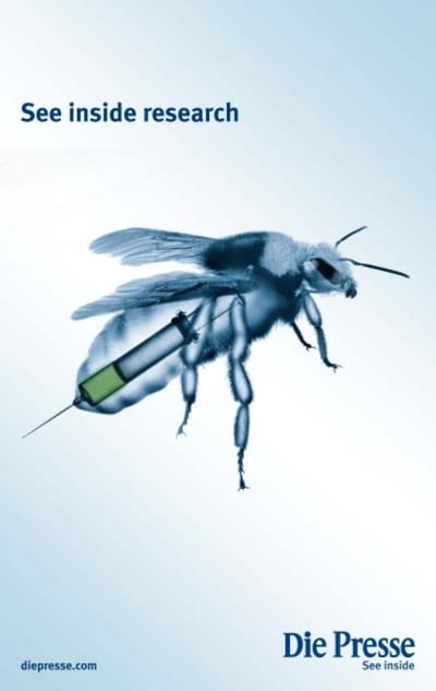 INSECT - Advertising
