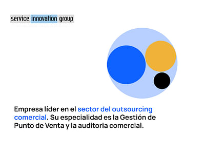 Caso de éxito con SIG España de SEO y SEM - Website Creatie
