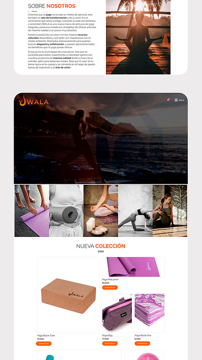 Diseño y desarrollo de E-commerce para Jwala - Création de site internet