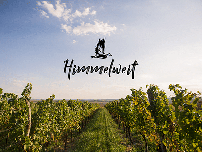 Wein-Branding HIMMELWEIT - Photographie