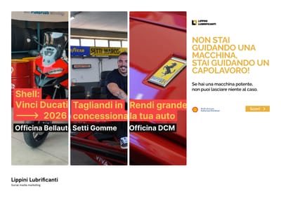 Lippini Lubrificanti Social media marketing - Réseaux sociaux