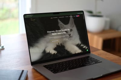 Site vitrine et SEO local pour un élevage de Maine Coon à Nice - Référencement naturel