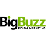 Big Buzz Digital Marketing logo