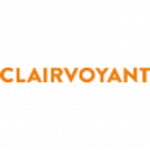 Clairvoyant LLC