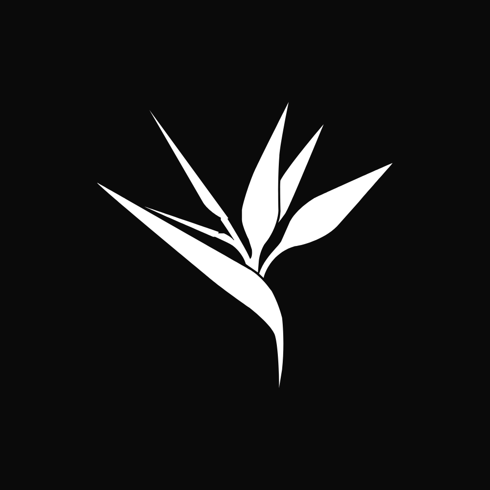 Strelizia Creative Studio