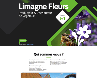 Site vitrine - Refonte - Website Creatie