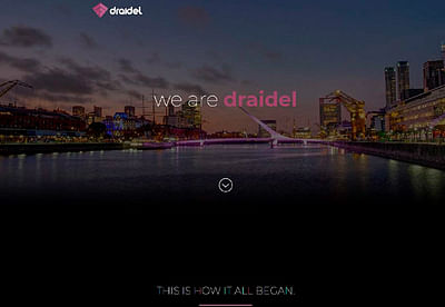 Draidel LLC Landing Page - Onlinewerbung