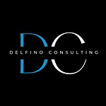 Delfino Consulting