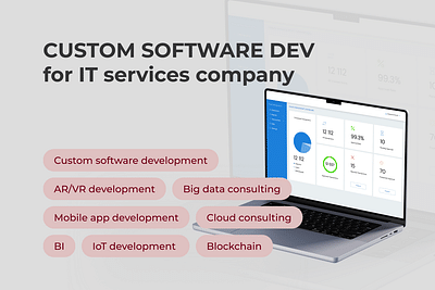 Custom Software Dev for IT Services Company -  Analítica Web/Big data