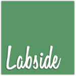 Labside