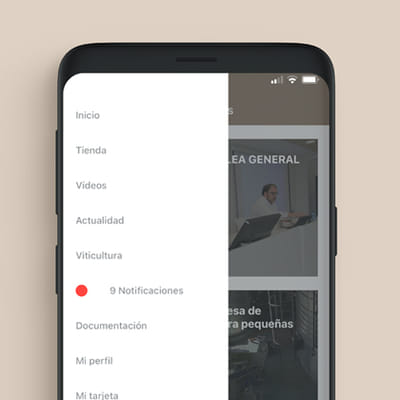 Desarrollo tecnológico de una app nativa - Web Application