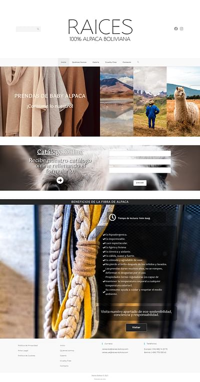 Raíces Bolivia - Creación de Sitios Web