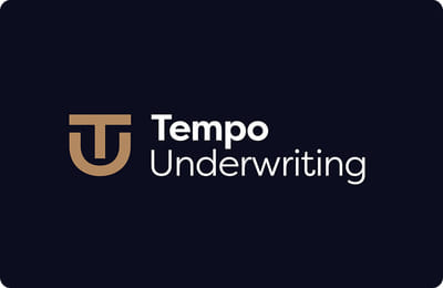 Tempo Underwriting Website Design, Development & Brand Identity - Cybersecurity