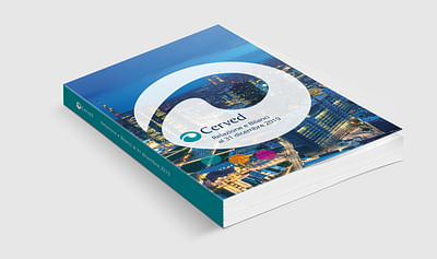 Cerved Group Annual Report - Graphic Design
