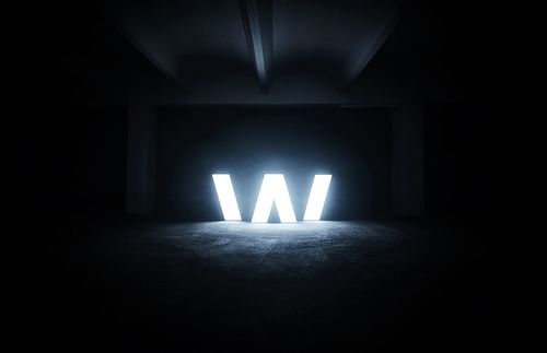 WILDVERTISING cover