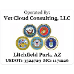 Vet Cloud Consulting